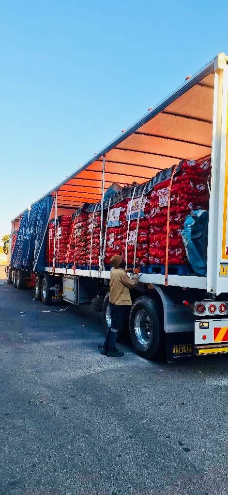 Securing a load of onions on a truck for market